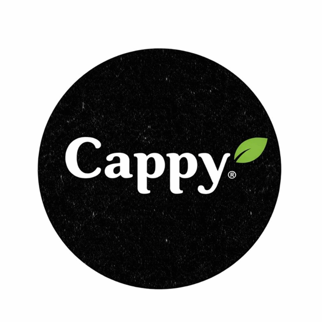 Cappy Meyve Suyu
